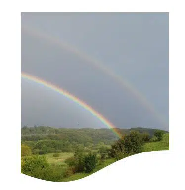 Dekorativ billede af en dobbelt regnbue henover et naturlandskab